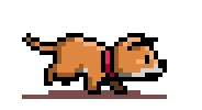 Running Dog